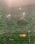 Unlacquered Brass Curved Shower System