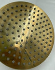 Unlacquered Brass Adjustable ShowerHead