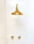 Unlacquered Brass Shower - Brasspure