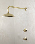 Unlacquered Brass Shower System - Brasspure