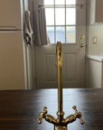 Unlacquered Brass Gooseneck Faucet